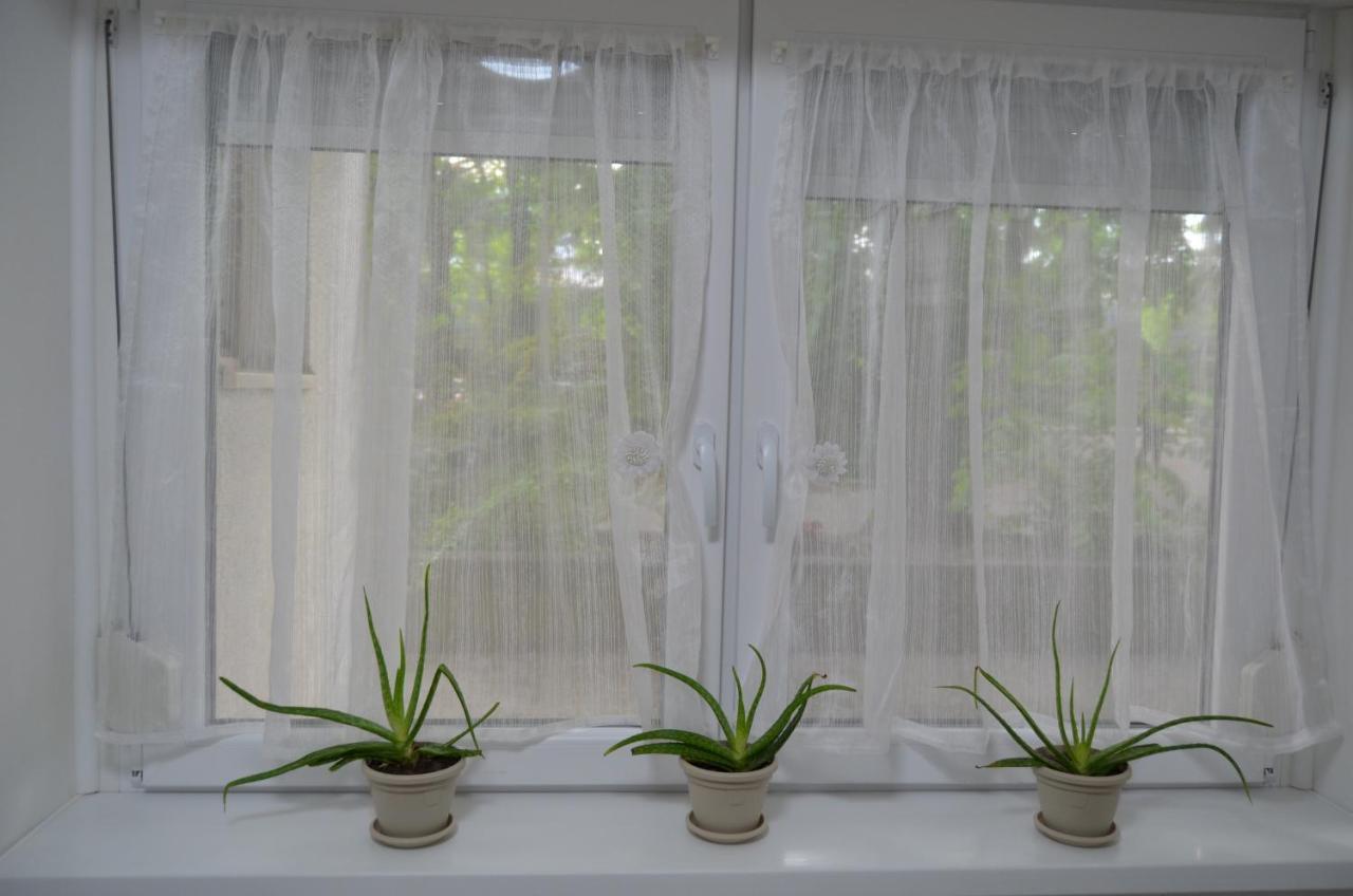 Mikmari Apartman 수보티차 외부 사진